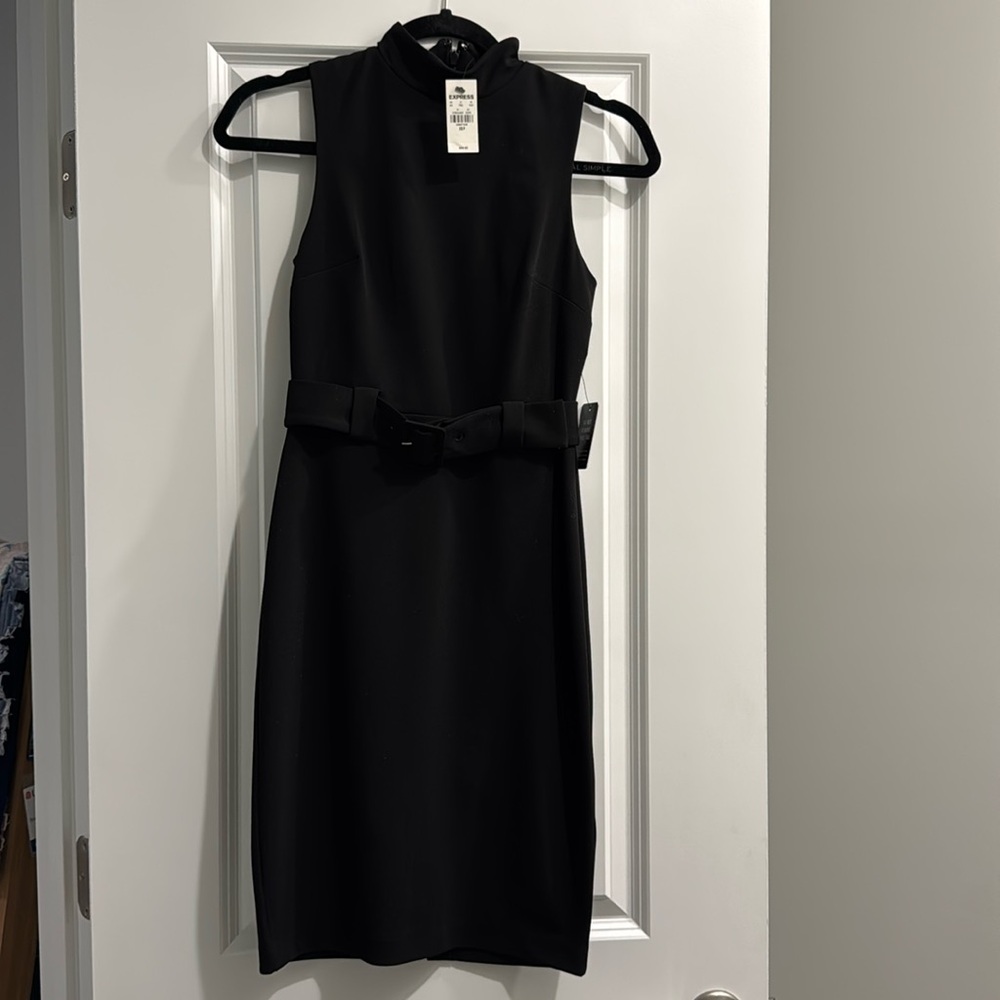 NWT Express Belted Dress